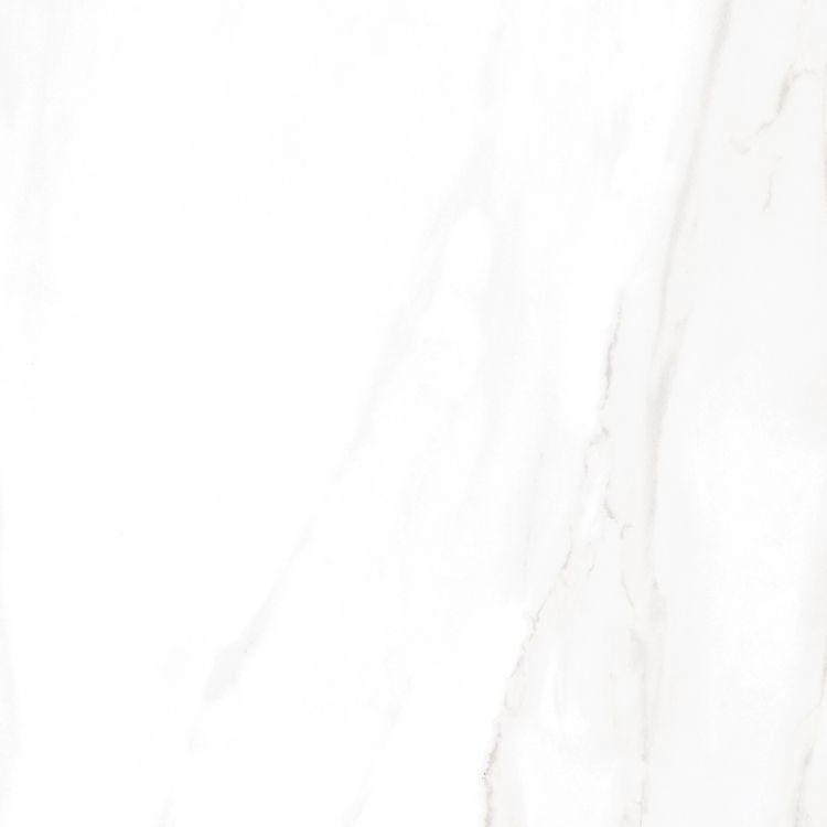 EC Calacatta Gold Matte 24 x 24
